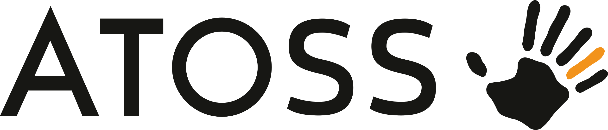 https://www.mncjobs.de/company/atoss-software