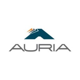 https://www.mncjobs.de/company/auria-solutions