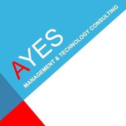 https://www.mncjobs.de/company/ayes-consulting
