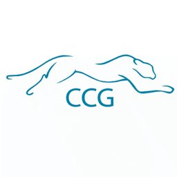 https://www.mncjobs.de/company/ccg-de-gmbh