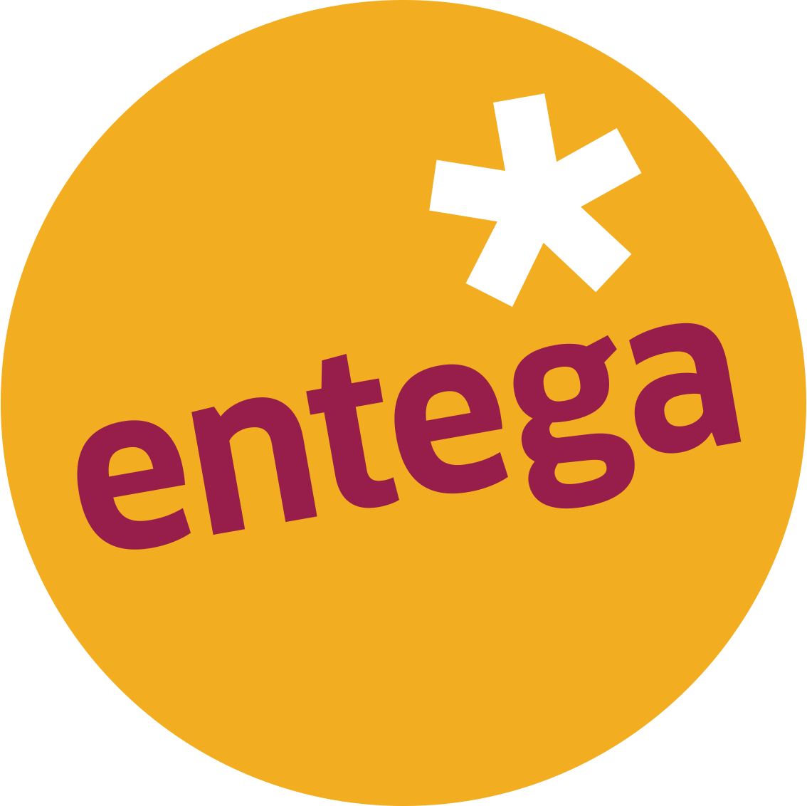 https://www.mncjobs.de/company/entega