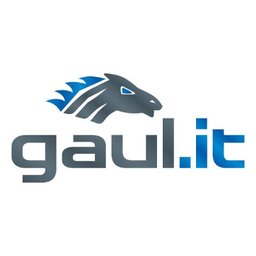 https://www.mncjobs.de/company/gaul-it