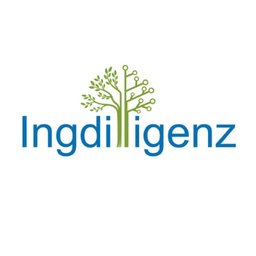 https://www.mncjobs.de/company/ingdilligenz-gmbh