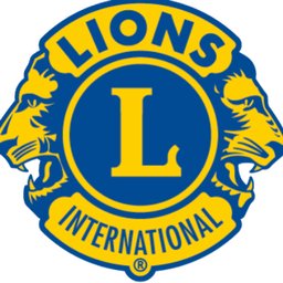 https://www.mncjobs.de/company/lions-deutschland