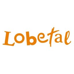 https://www.mncjobs.de/company/lobetalarbeit-e-v