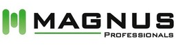 https://www.mncjobs.de/company/magnus-professionals