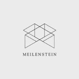 https://www.mncjobs.de/company/meilenstein-gemeinntzige-ug