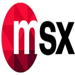 https://www.mncjobs.de/company/msx-international