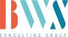 https://www.mncjobs.de/company/bws-consulting-group