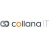 https://www.mncjobs.de/company/collana-it-gmbh
