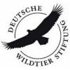 https://www.mncjobs.de/company/deutsche-wildtier-stiftung