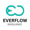 https://www.mncjobs.de/company/everflow-excellence-gmbh