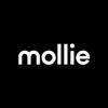 https://www.mncjobs.de/company/mollie-b-v