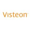 https://www.mncjobs.de/company/visteon