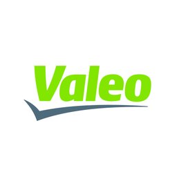 https://www.mncjobs.de/company/valeo
