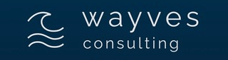 https://www.mncjobs.de/company/wayves-consulting